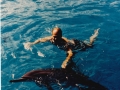 SWIMMING_WITH_DOLPHIN_HAWAII